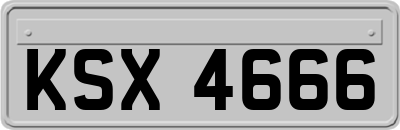 KSX4666
