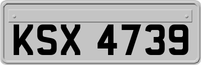 KSX4739