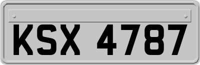 KSX4787