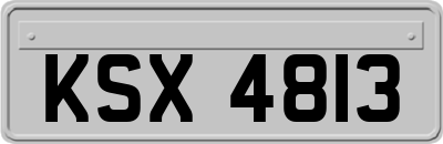KSX4813