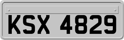 KSX4829
