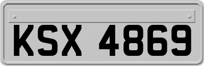 KSX4869