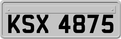 KSX4875