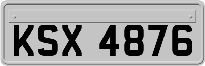 KSX4876