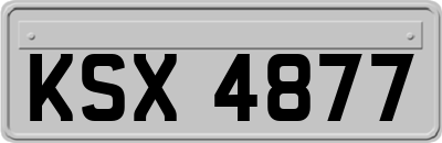 KSX4877