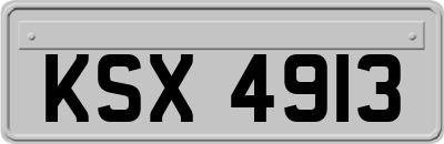 KSX4913