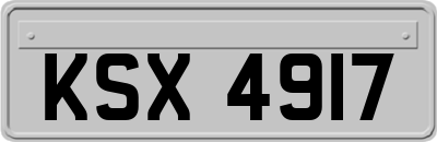 KSX4917