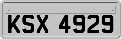 KSX4929