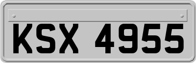 KSX4955