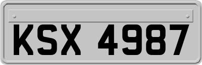 KSX4987
