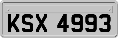 KSX4993