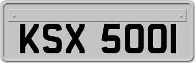 KSX5001
