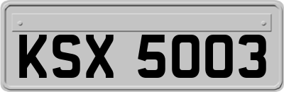 KSX5003