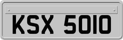 KSX5010