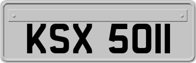 KSX5011