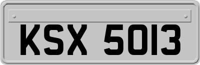 KSX5013