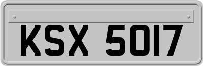 KSX5017