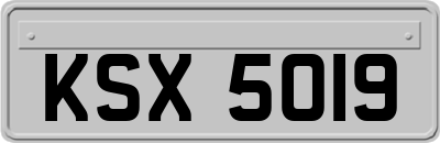KSX5019