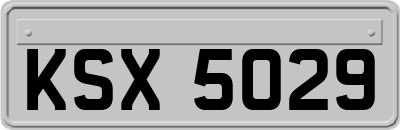 KSX5029