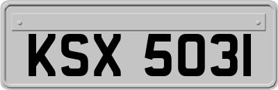 KSX5031
