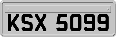KSX5099