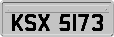 KSX5173