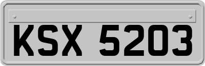 KSX5203