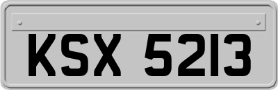 KSX5213