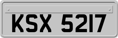 KSX5217