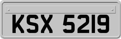 KSX5219