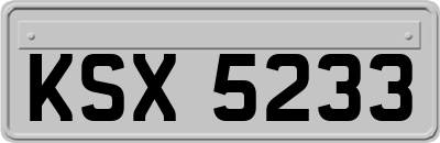 KSX5233