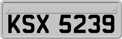 KSX5239