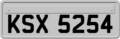 KSX5254