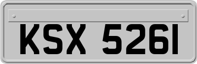 KSX5261