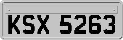 KSX5263