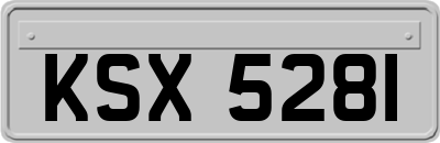 KSX5281