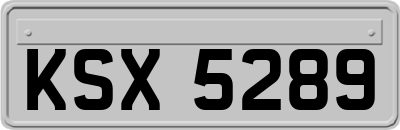 KSX5289