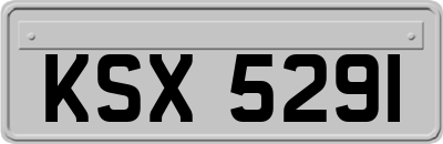 KSX5291