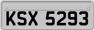 KSX5293