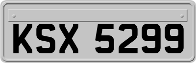 KSX5299