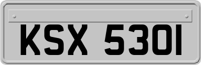KSX5301