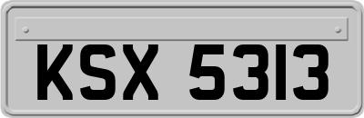 KSX5313
