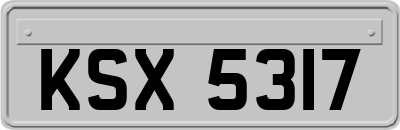 KSX5317
