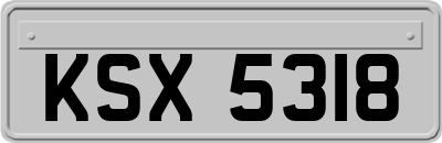 KSX5318