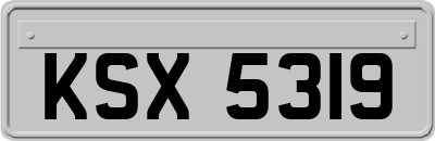 KSX5319