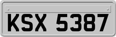 KSX5387