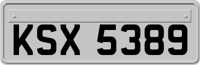 KSX5389