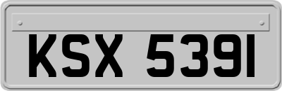 KSX5391