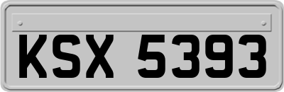 KSX5393