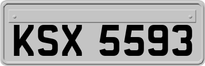 KSX5593